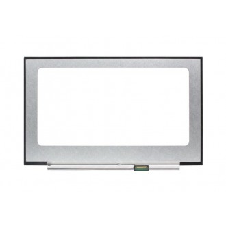 Οθόνες laptop 17.3" N173HCE-G33 LED (eDP 40 Pin - No brackets) Full HD 144Hz AHVA (1920x1080) - Matte